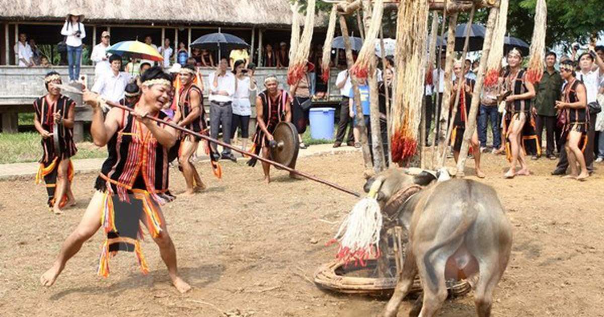 Tìm hiểu Lễ hội đâm trâu mừng lúa mới tại Bình Phước 2