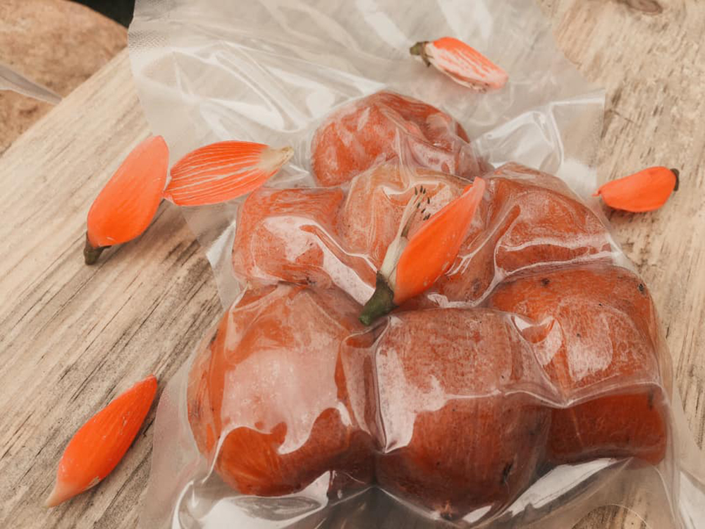 Mộc Trà Farm - Quán cà phê với con đường đẹp như phim Hàn Quốc 10