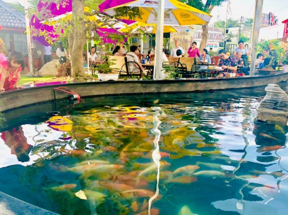 Phá đảo Top quán cafe cá Koi ở Cần Thơ, vui chơi quên lối về! 7