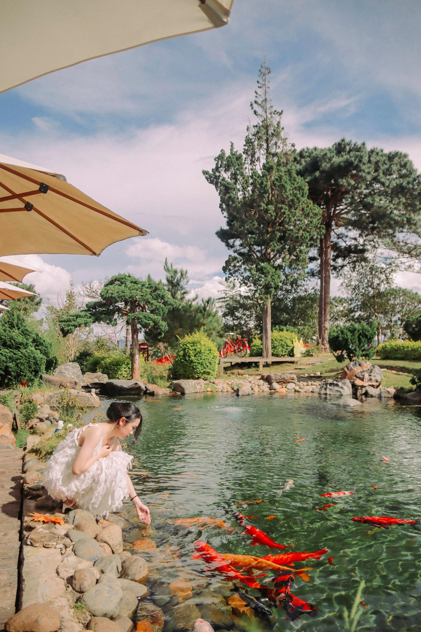Kokoro Cafe Đà Lạt - Khám phá đất nước mặt trời mọc bên trong thành phố ngàn hoa 4