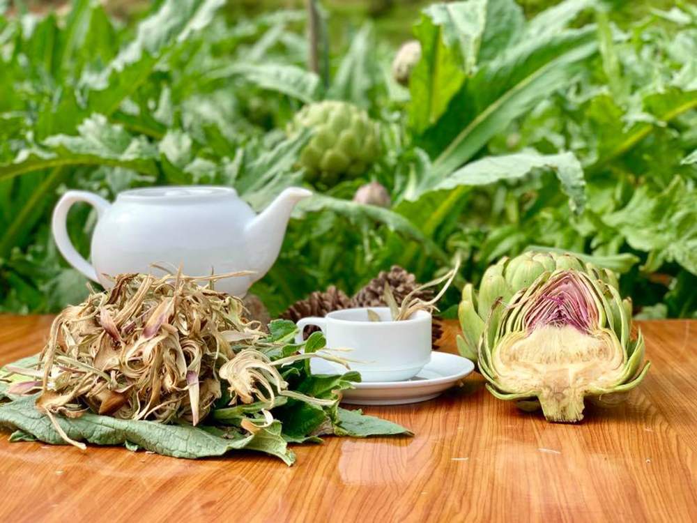 Tìm hiểu từ A đến Z về Atiso Đà Lạt 7
