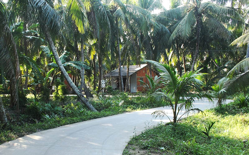 Đến Giồng Trôm Bến Tre khám phá cảnh sắc thiên nhiên xứ dừa 2