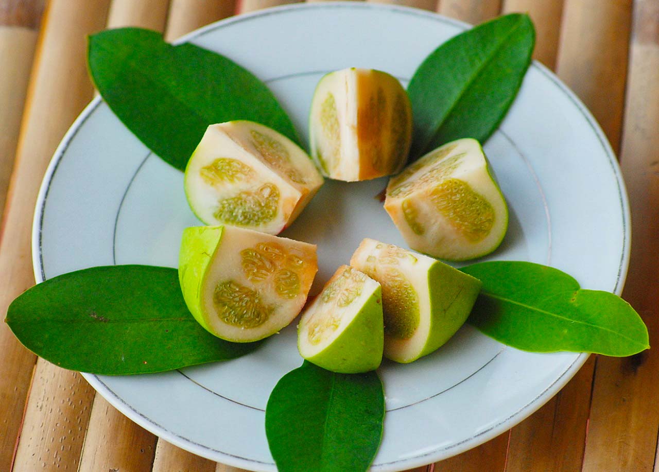 Lẩu bần phù sa đậm đà hương vị đồng quê Cần Thơ 3