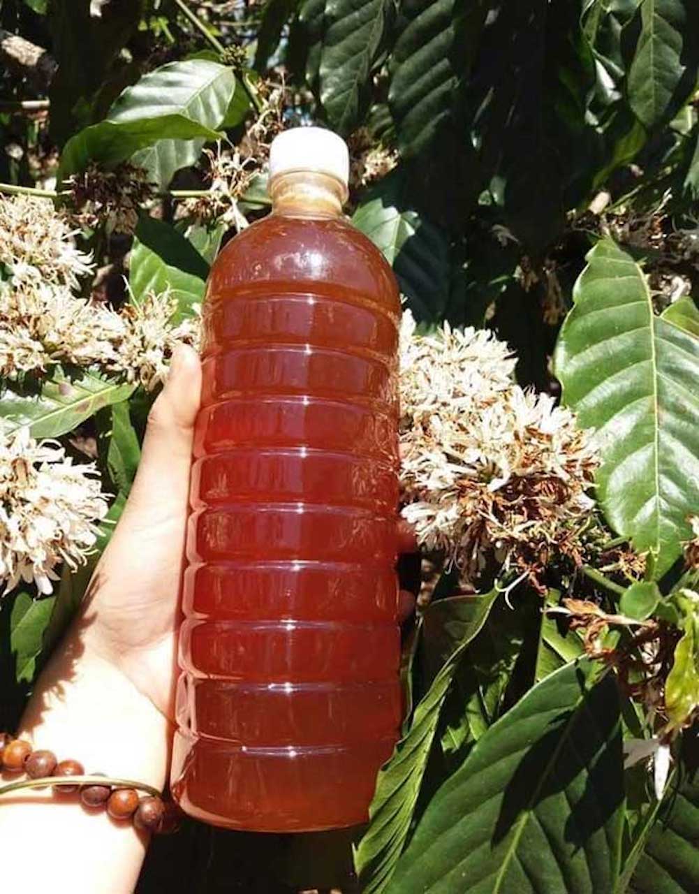 Đi Buôn Ma Thuột mua gì làm quà, tưởng không dễ nhưng lại dễ không tưởng 3