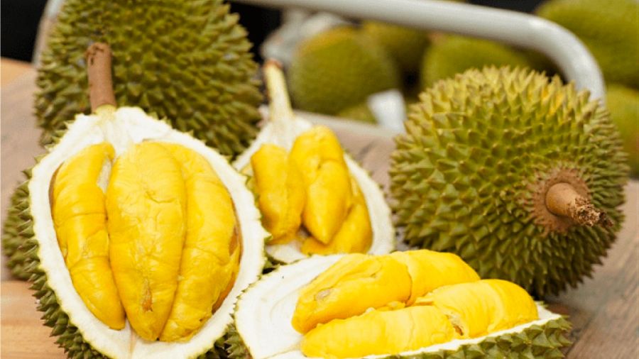 Khám phá Sầu riêng Cái Mơn, đặc sản Bến Tre nổi tiếng gần xa 2