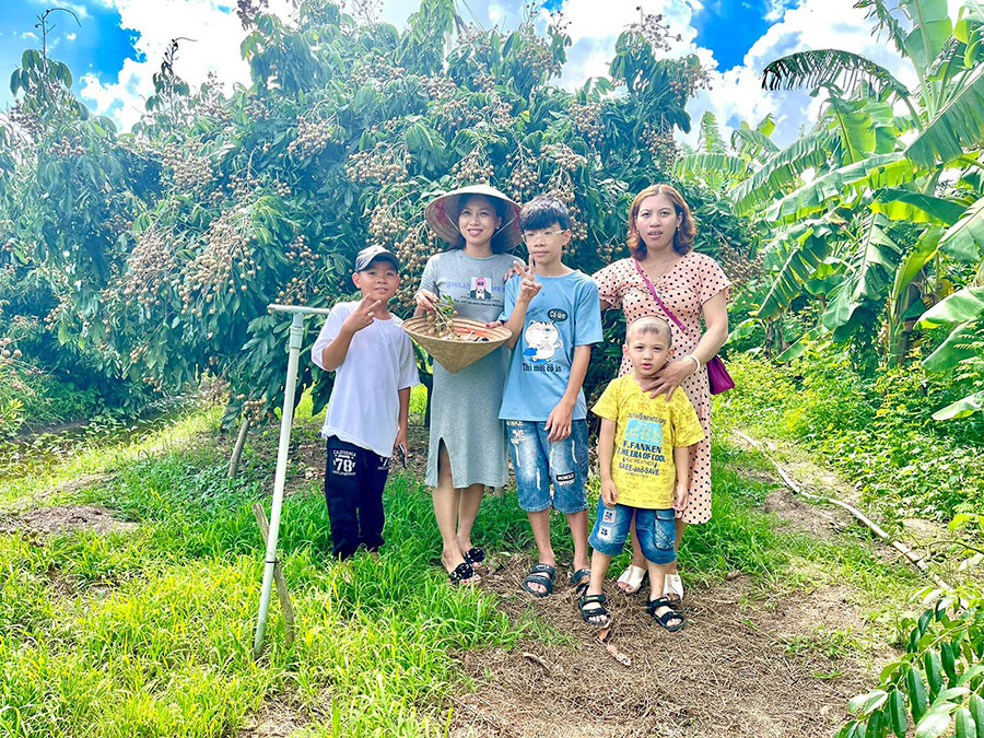 Vườn nhãn IDO Út Nhì Chợ Mới, mộc mạc hương vị cây trái miền Tây 2