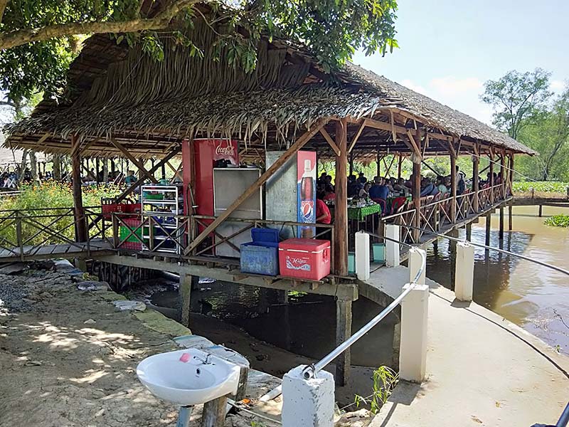 Cồn Ốc Bến Tre và vẻ đẹp đậm chất hoang sơ, thanh bình 9