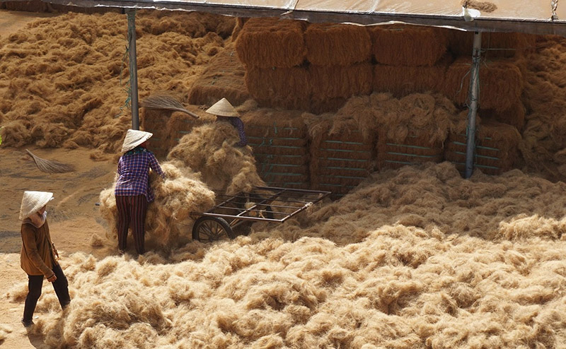 Chợ nổi Dừa trên sông Thom độc nhất vô nhị ở vùng Nam Bộ 5