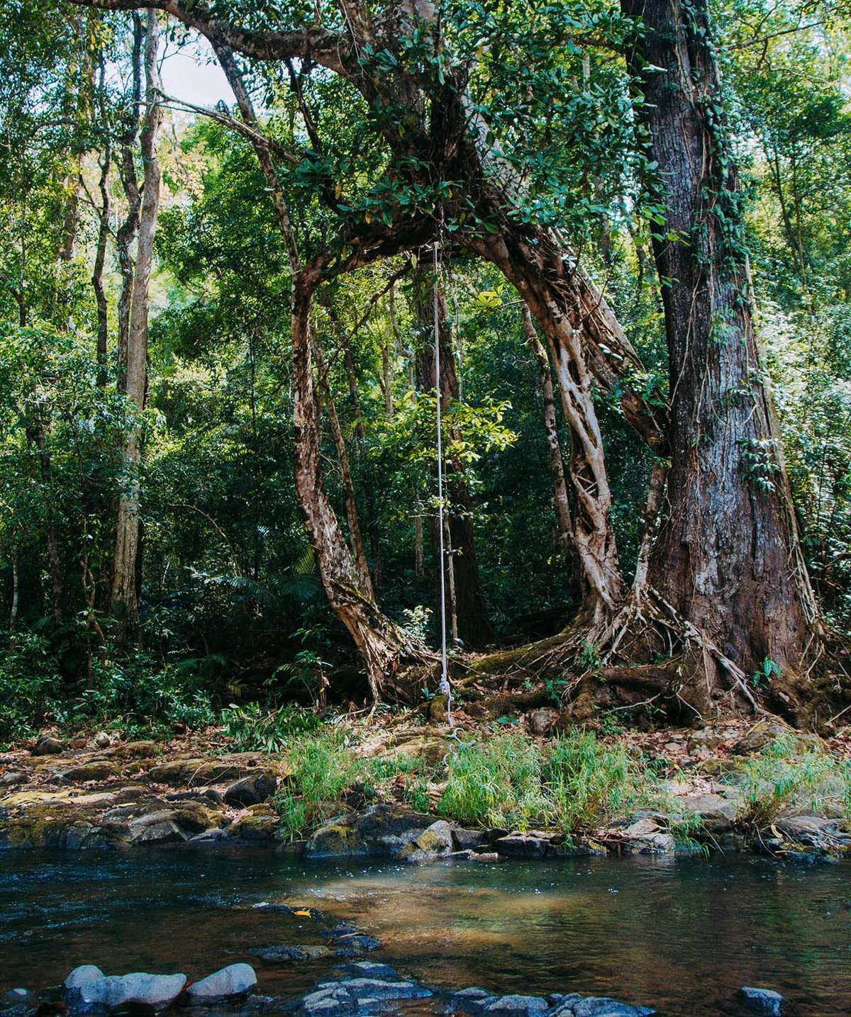 Hướng dẫn trekking Bù Gia Mập an toàn cho hội cuồng du lịch 2