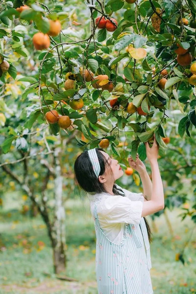 Vườn trái cây Cái Mơn, tọa độ giải nhiệt ngày nắng nóng 3