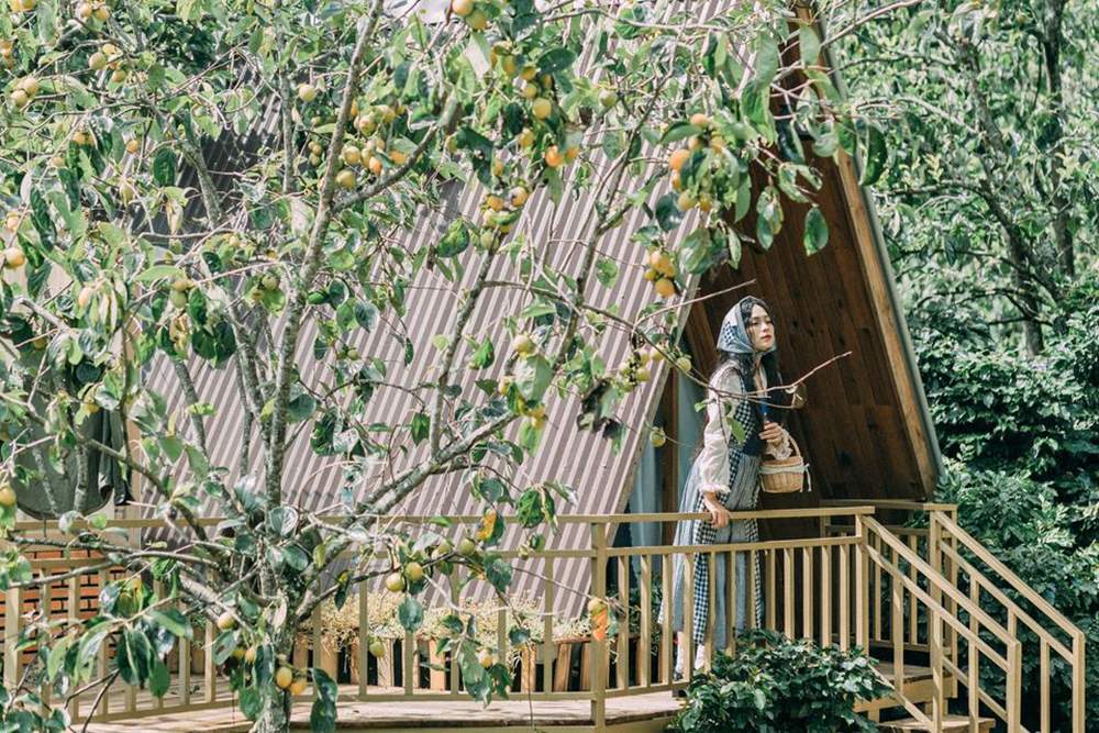 Mộc Trà Farm - Quán cà phê với con đường đẹp như phim Hàn Quốc 8