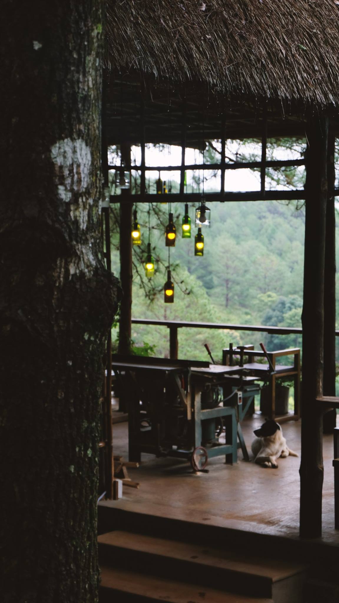 Lavenderdalat Coffee House - Quán cà phê có view Hồ Tuyền Lâm quyến rũ khiến ai cũng say lòng tại Đà Lạt 10