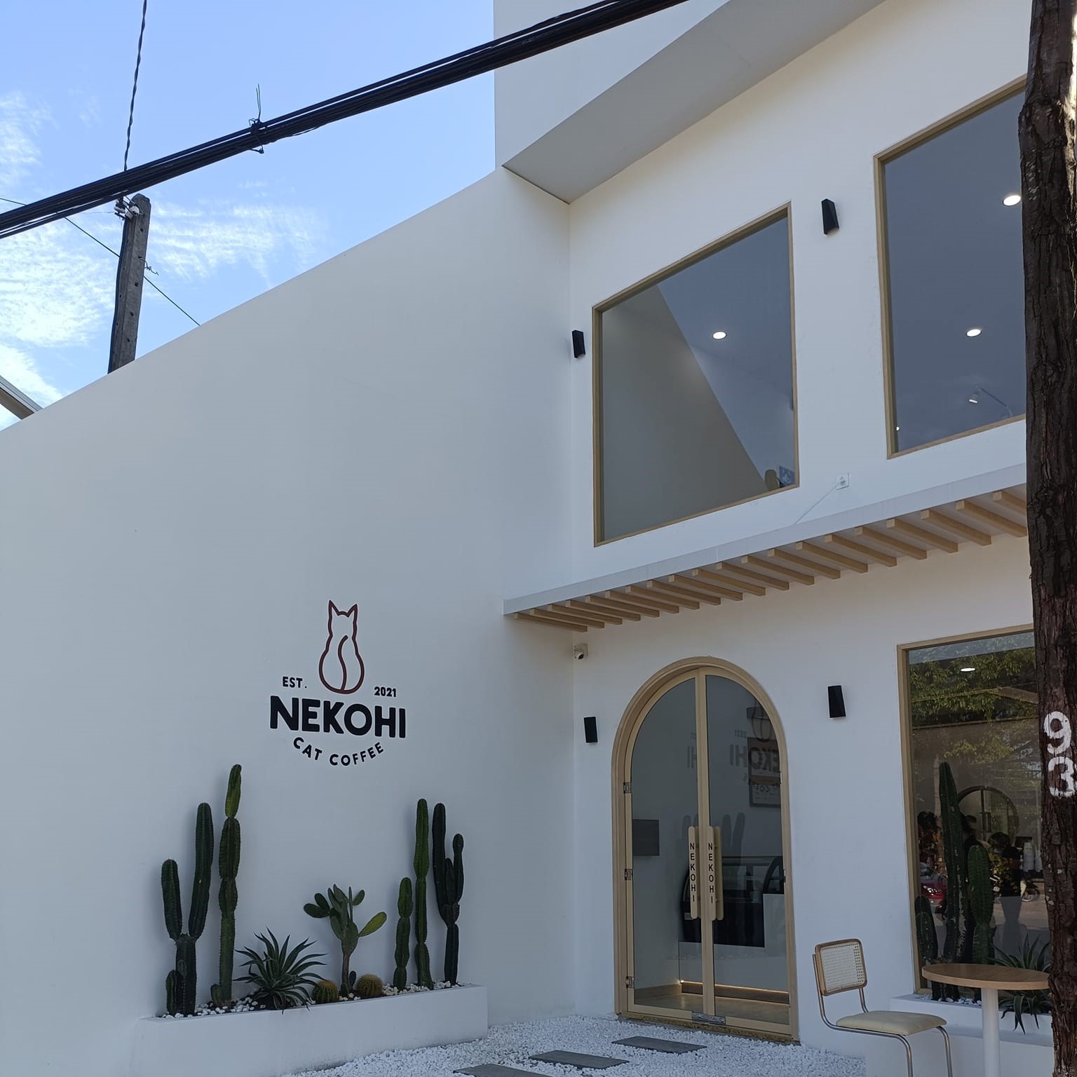 Nekohi Cat Coffee, cửa hàng cà phê dành cho các bạn yêu thú cưng 2