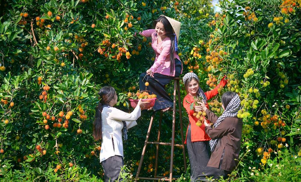 Bỏ túi Kinh nghiệm đi Cần Thơ tự túc chi tiết nhất 3