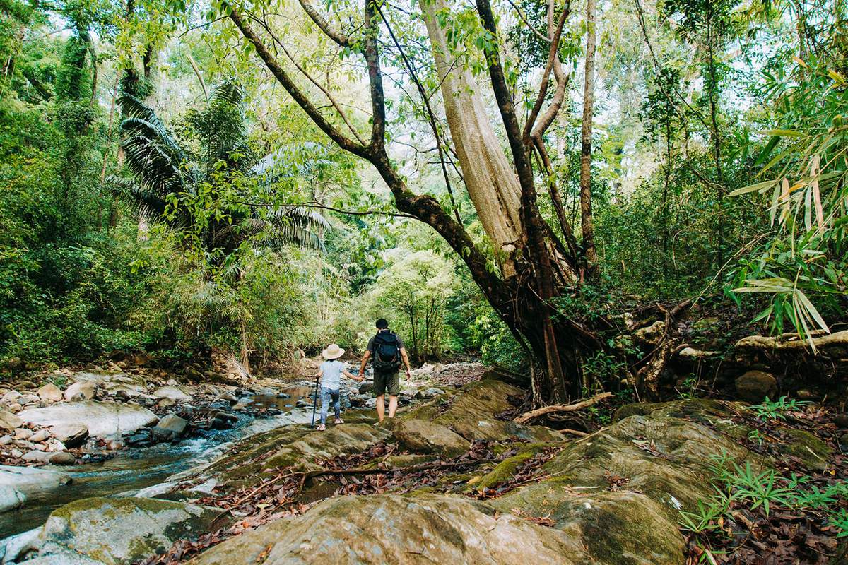 Hướng dẫn trekking Bù Gia Mập an toàn cho hội cuồng du lịch 7