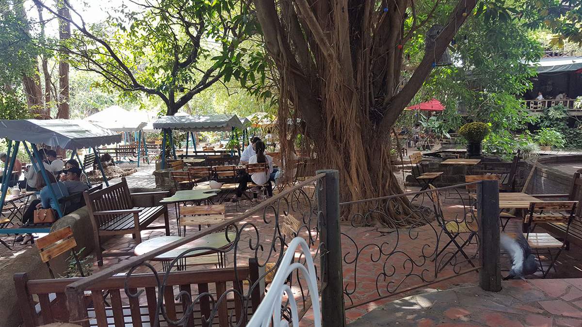 Điểm danh Top quán cafe DakLak nổi tiếng với view cực xịn 26