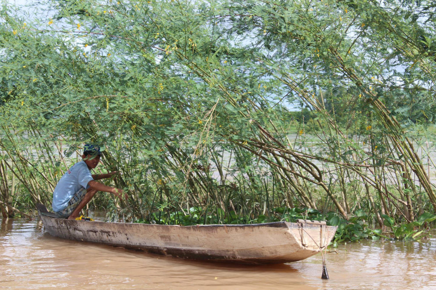 Du lịch Phú Tân An Giang khám phá khu sinh thái đầy thú vị 4