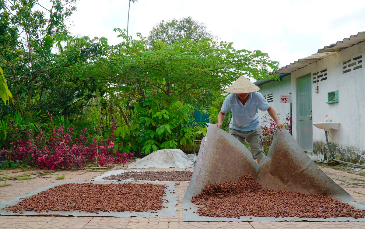 Bạn đã thử chưa Cacao Mười Cương thơm ngon chỉ có tại Tây Đô? 9