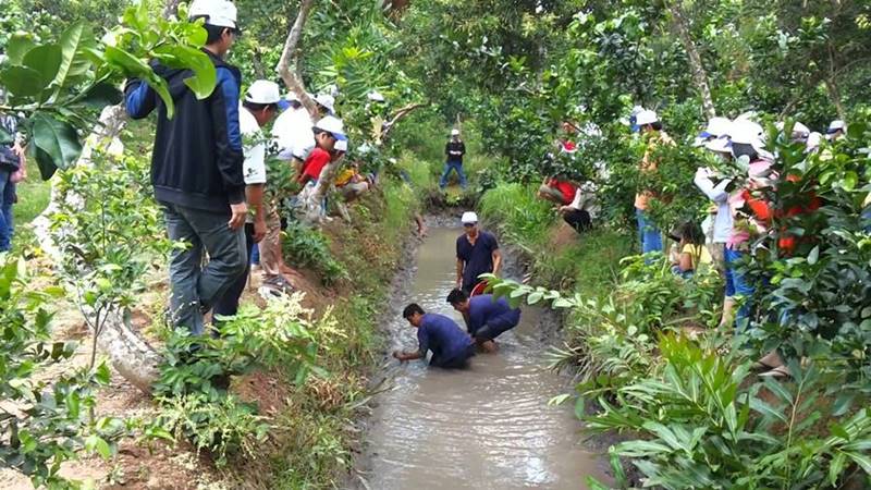 Vườn trái cây Cái Mơn, tọa độ giải nhiệt ngày nắng nóng 6