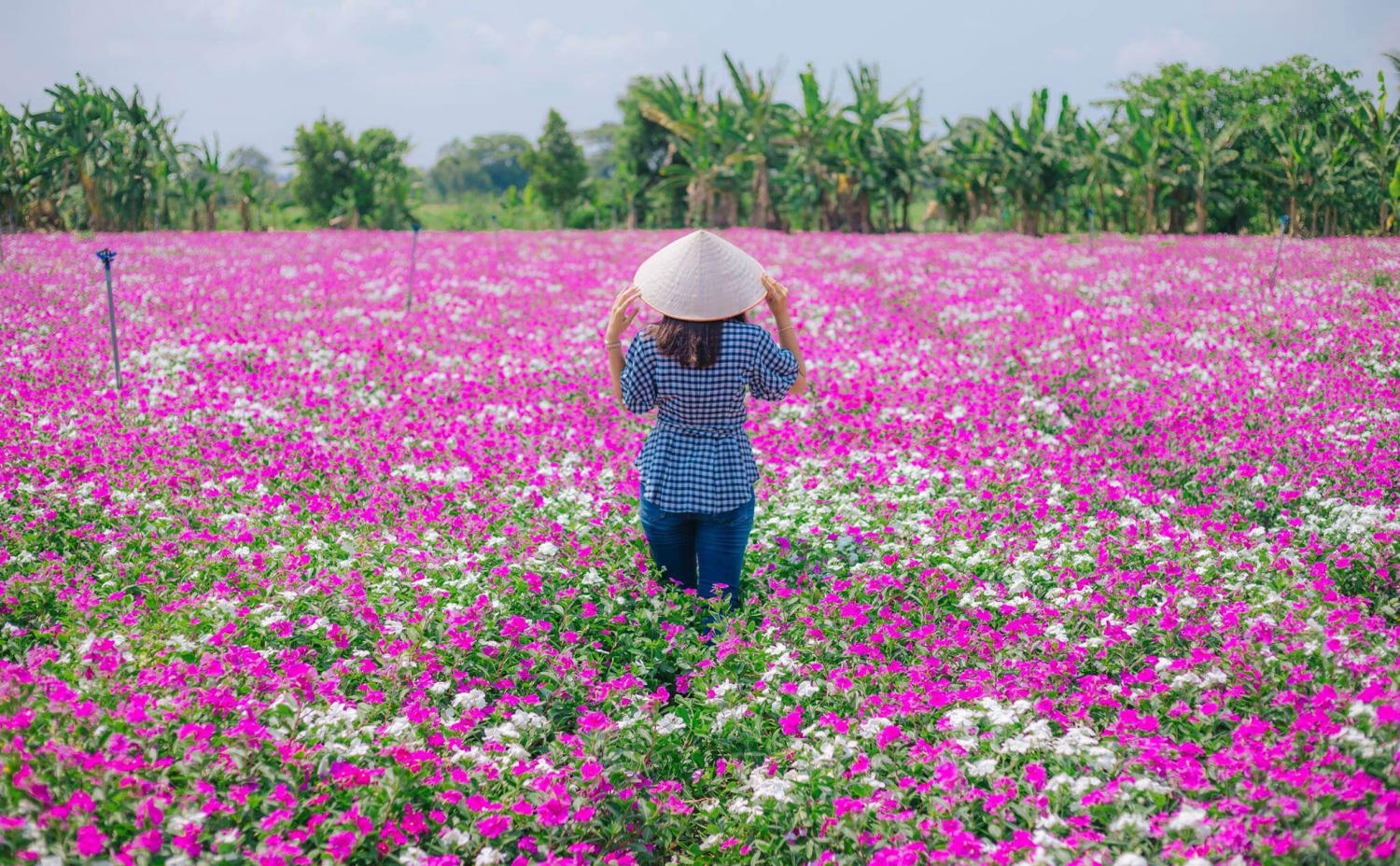 Du lịch Phú Tân An Giang khám phá khu sinh thái đầy thú vị 3