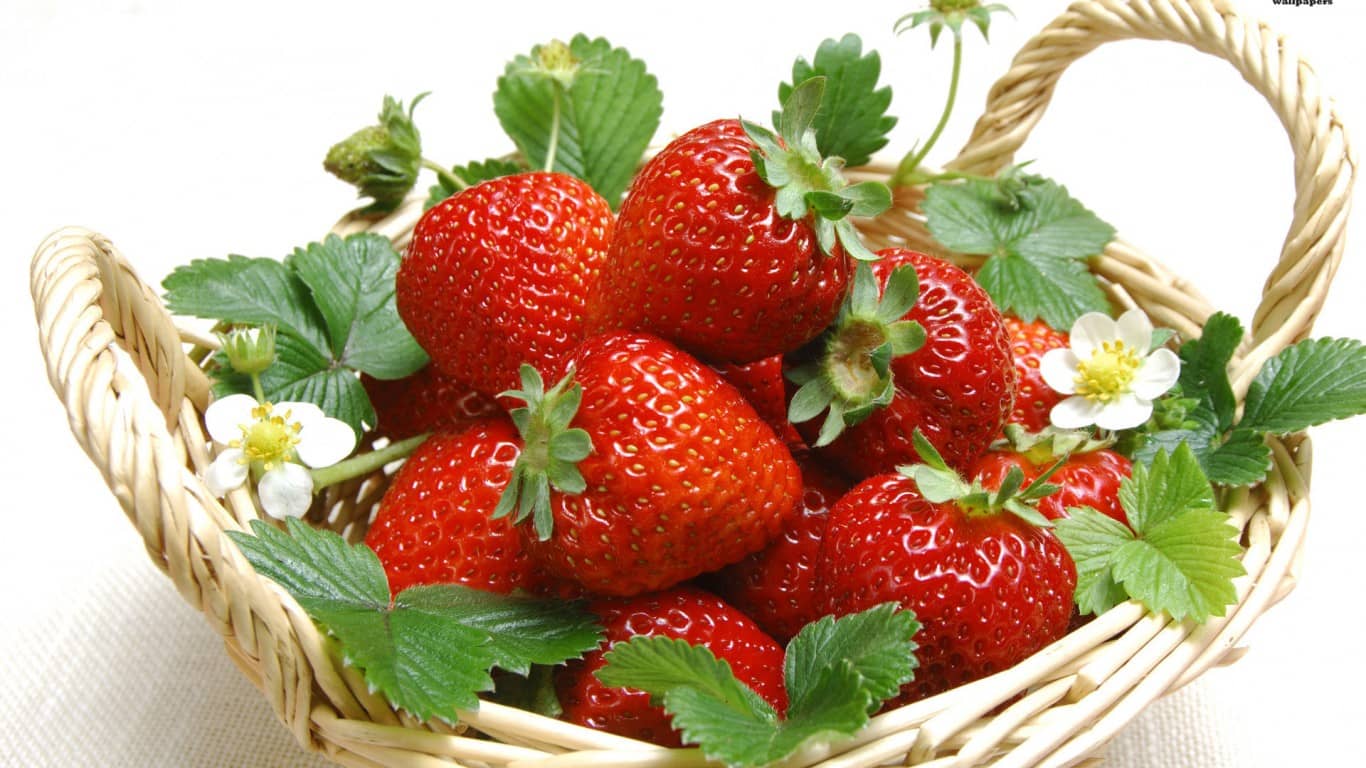 Top 10 địa chỉ mua dâu tây ngon nhất Đà Lạt 4
