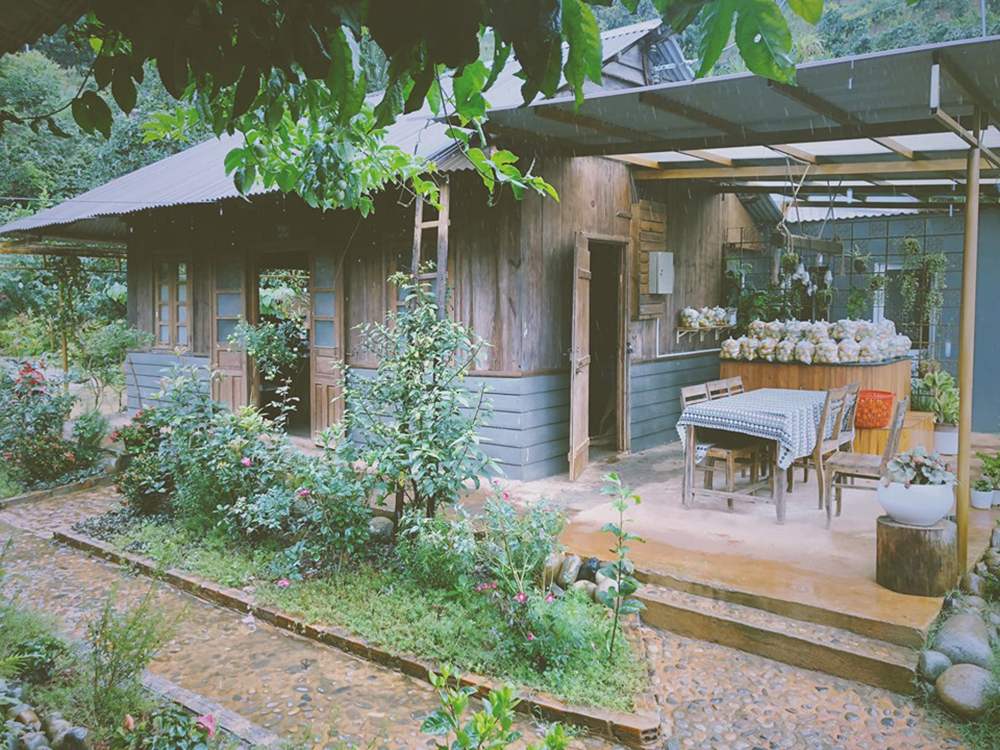 Mộc Trà Farm - Quán cà phê với con đường đẹp như phim Hàn Quốc 3