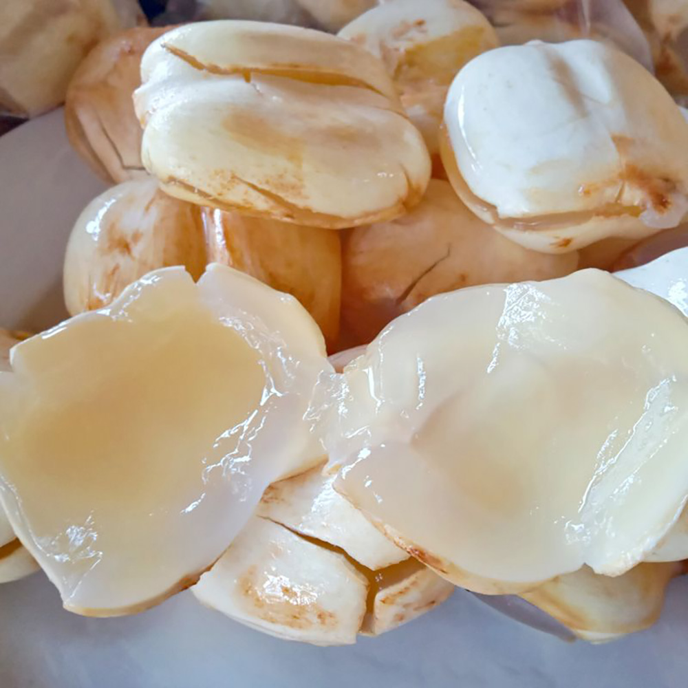 Cây Thốt nốt An Giang, thức quà quý giá đến từ thiên nhiên 6