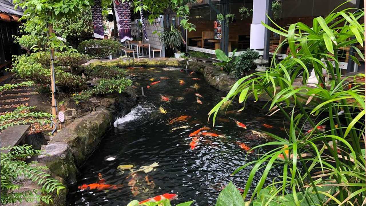 Check-in Top quán cafe không gian đẹp Cần Thơ vô cùng sang chảnh 9