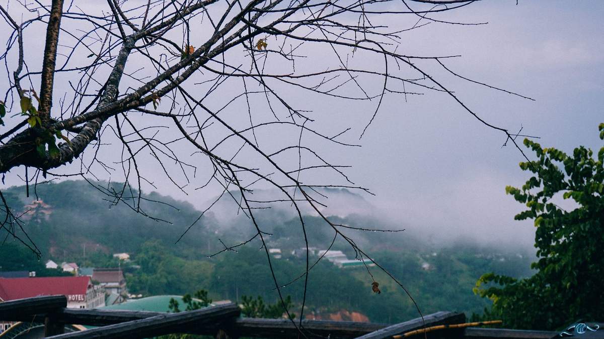 Cổng trời Đà Lạt - Di Linh View - Quán cà phê thơ mộng tựa sợi dây nối liền trời đất 4
