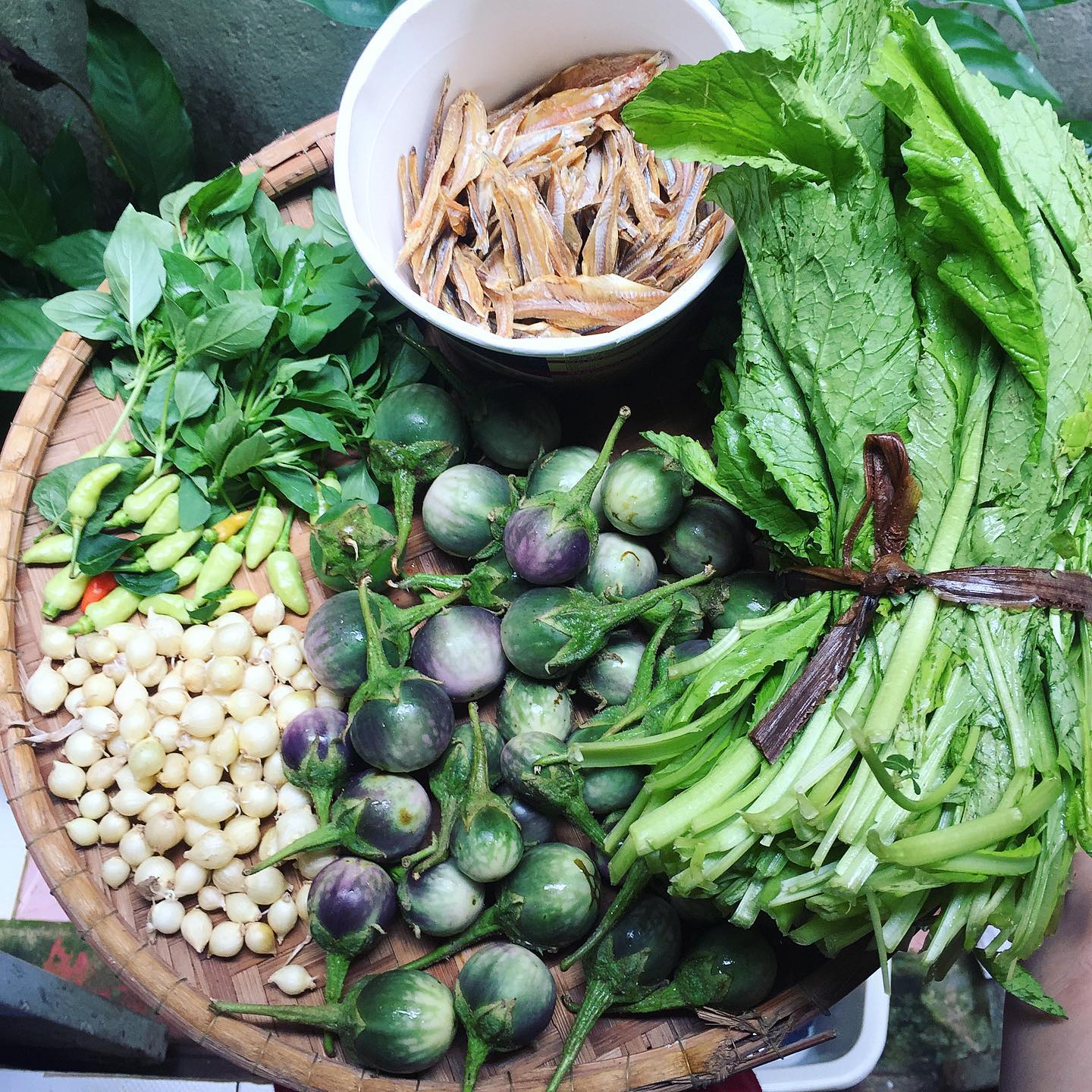 Top đặc sản Buôn Ma Thuột, ăn là ghiền từ A đến Z ngay thôi 5