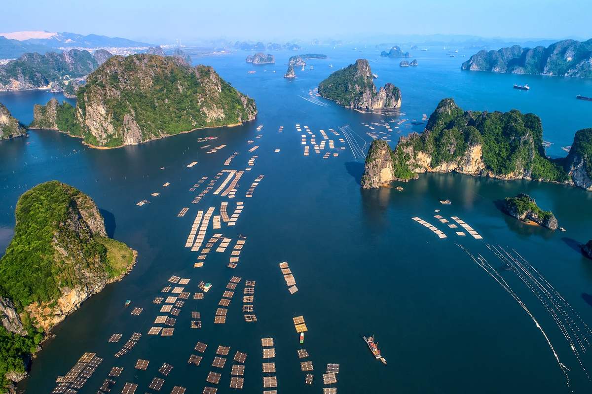 Du lịch Hạ Long - Cùng Phạm Duy Long ngắm nhìn Hạ Long từ thủy phi cơ 2