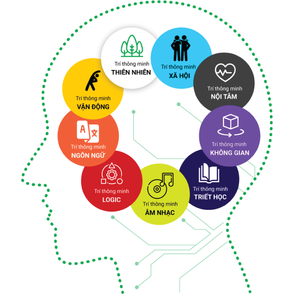 các loại trí thông minh của con người