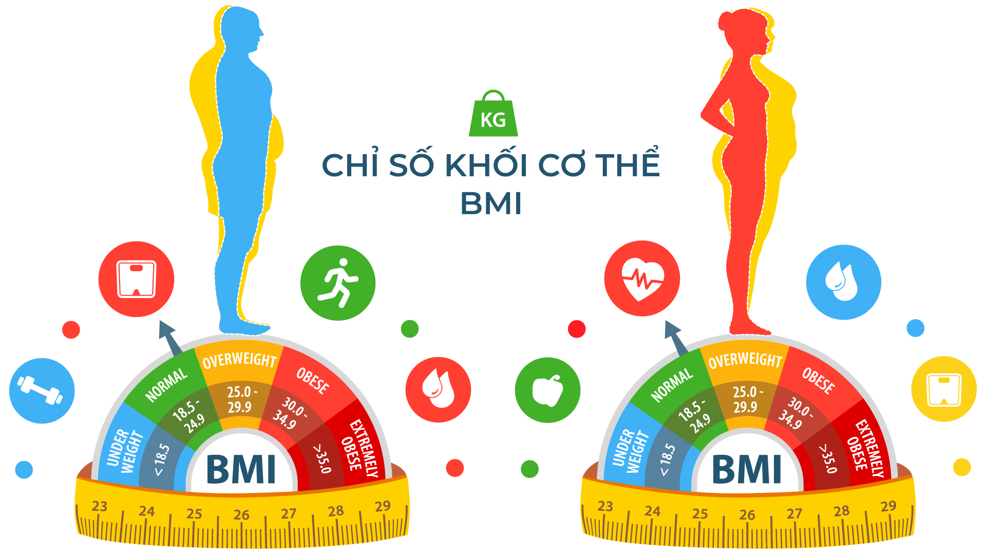 Chỉ số khối cơ thể BMI