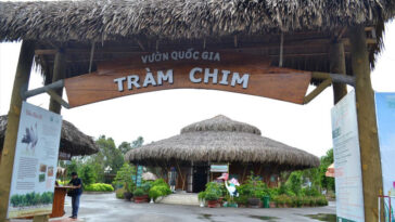 1fe41d66fa Vườn quốc gia Tràm Chim, Đồng Tháp Mười thu nhỏ mùa nước nổi