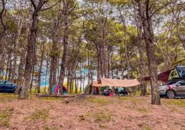 9e68f24496 Camping ở đồi thông Diên Phú, hoạt động phải thử 1 lần khi đến Gia Lai