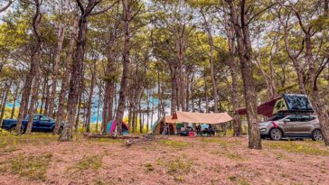 9e68f24496 Camping ở đồi thông Diên Phú, hoạt động phải thử 1 lần khi đến Gia Lai