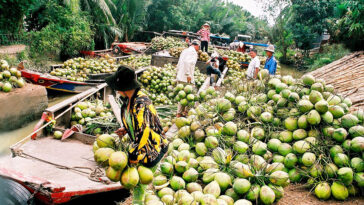 fdcfaf2373 Lễ hội Dừa Bến Tre, sự kiện tôn vinh loài cây đặc trưng của tỉnh