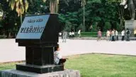560a64e917 Khám phá Công viên Lê Nin - Lá phổi xanh giữa lòng Hà Nội