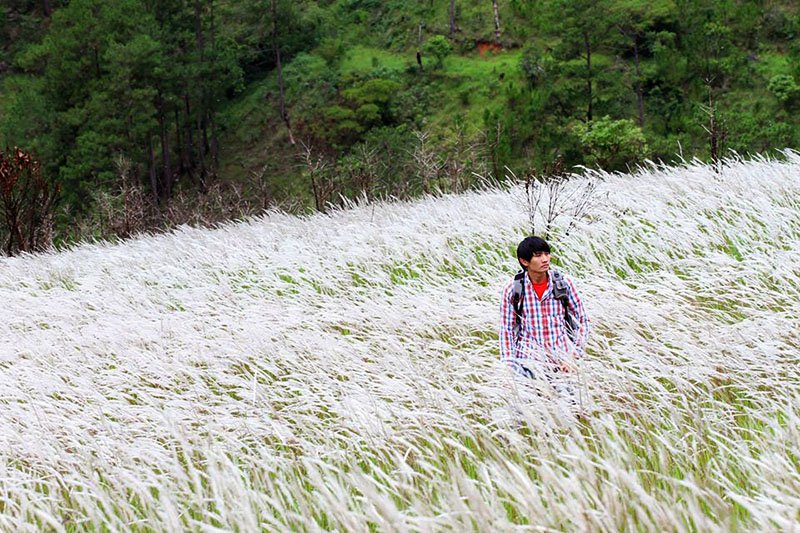 Giải đáp thắc mắc tháng Năm Đà Lạt có gì mà ai cũng muốn ghé chơi 3