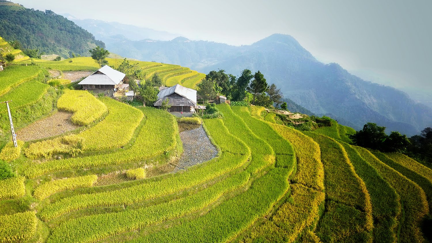 Lễ hội Hoàng Su Phì - Nét đẹp lễ hội trên các dãy ruộng bậc thang 3