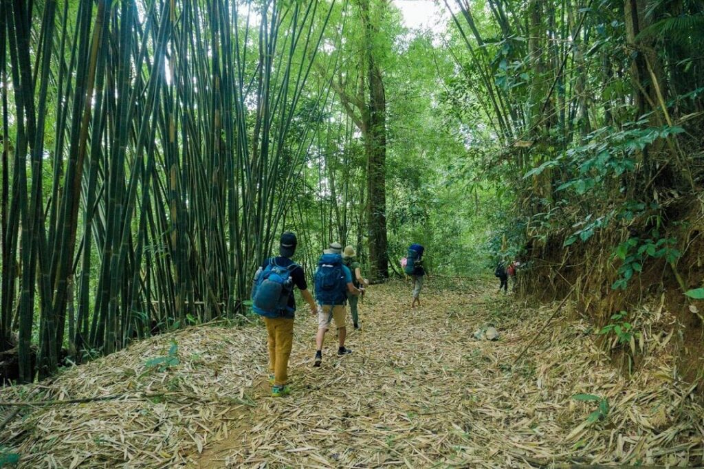 Trekking Bù Gia Mập trải nghiệm thú vị giữa phong cảnh hùng vĩ của thiên nhiên 2