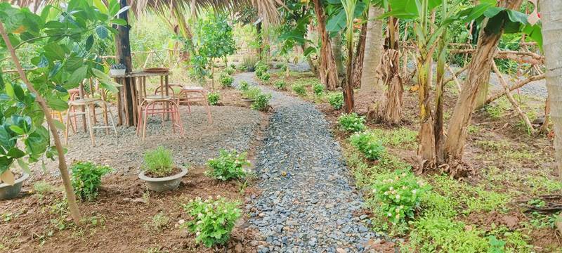 Vườn sinh thái Hoa Vương tọa độ sống ảo lý tưởng tại Bến Tre 6
