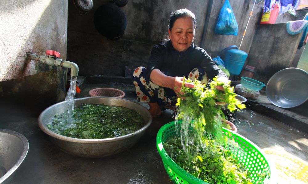 Ghé Quán mì quảng Phú Chiêm Pleiku nổi tiếng gần xa 4