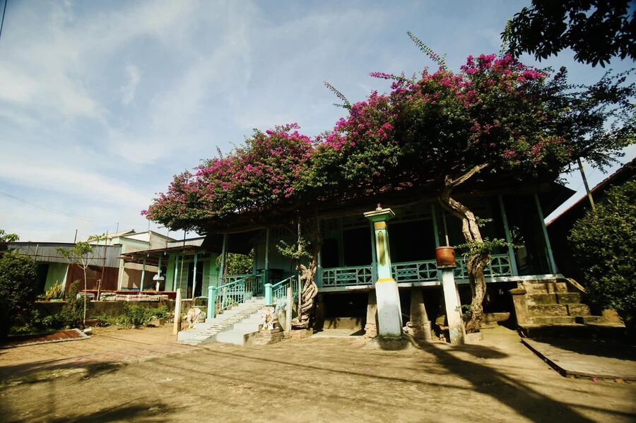 Ngôi nhà hoa giấy ở Phú Tân An Giang, vẻ đẹp thôn quê dịu dàng 4
