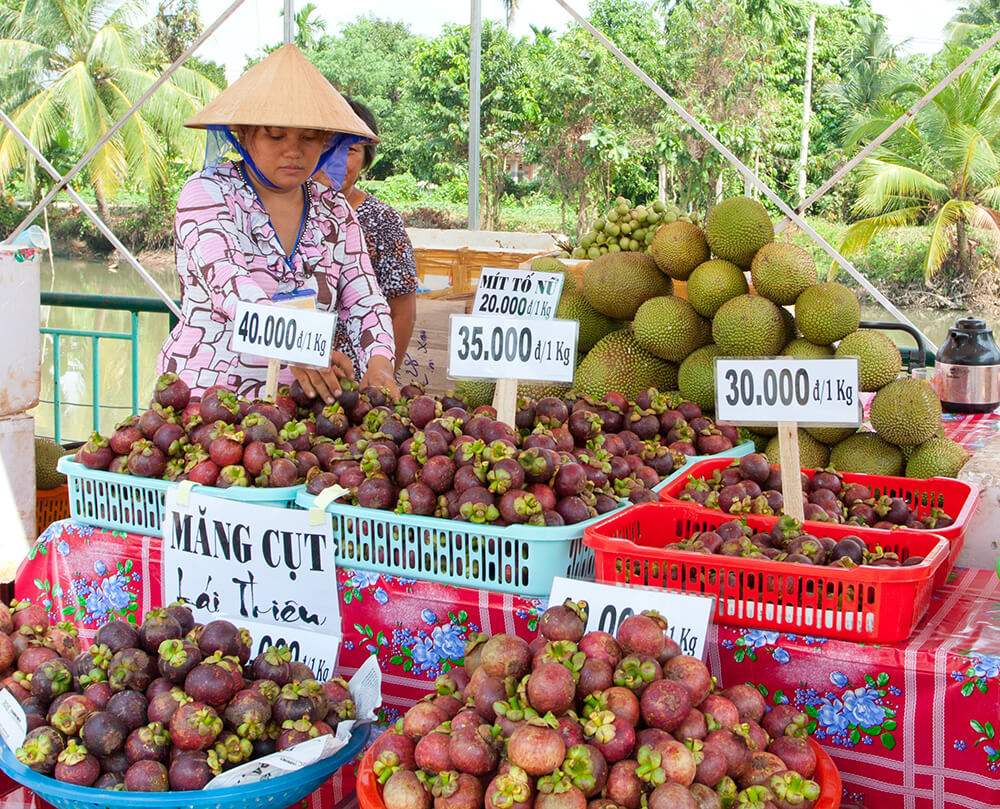 Lễ hội Lái Thiêu mùa trái chín và sự trù phú của miền đất Nam Bộ 3