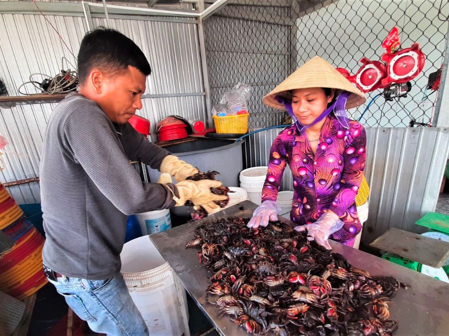 Nghề làm mắm ở Cà Mau và món ngon đặc sản vạn người mê 3