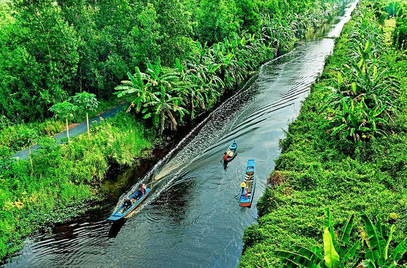 Khám phá du lịch Cà Mau có gì chơi cùng những địa điểm tham quan thú vị 10