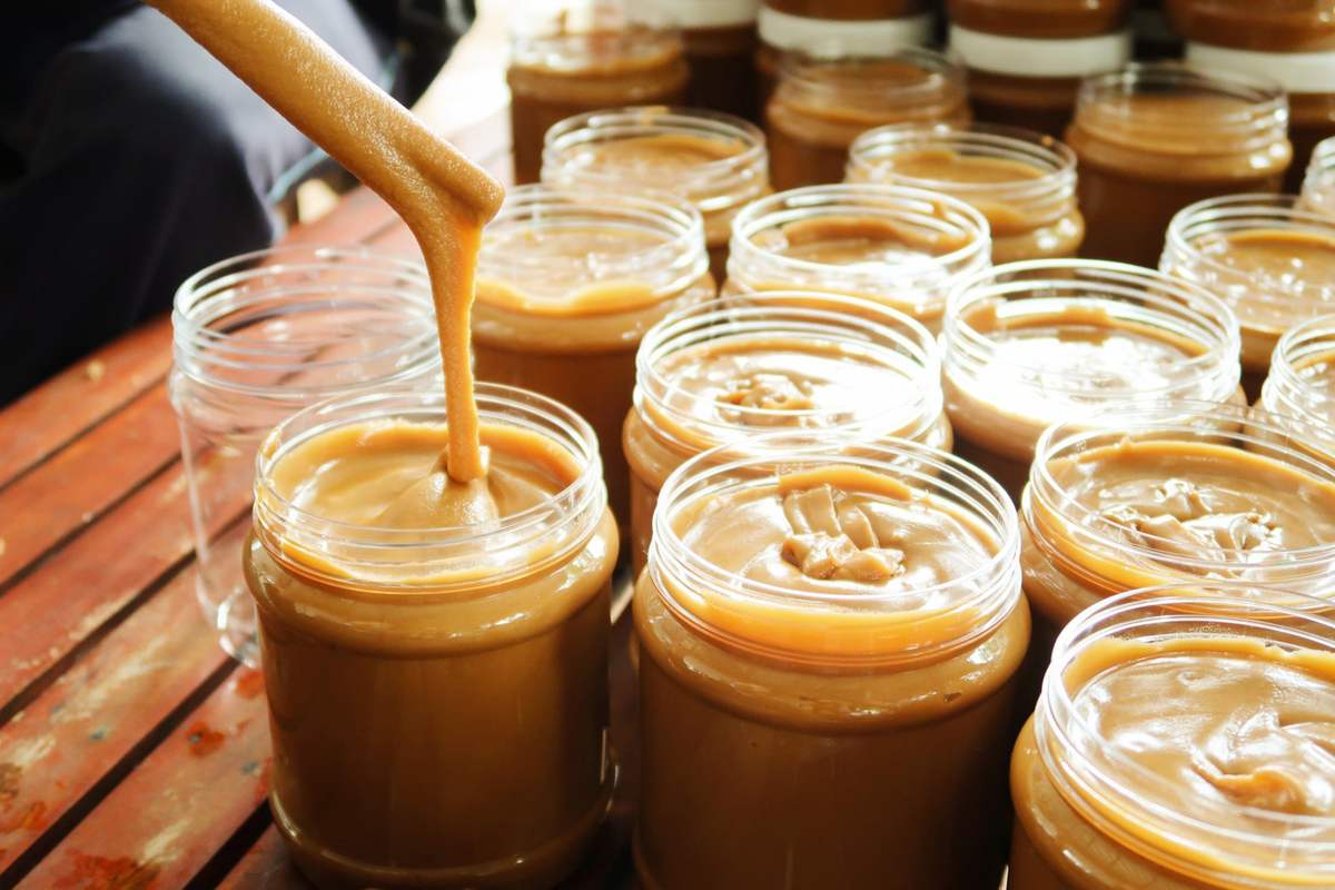 Cây Thốt nốt An Giang, thức quà quý giá đến từ thiên nhiên 10