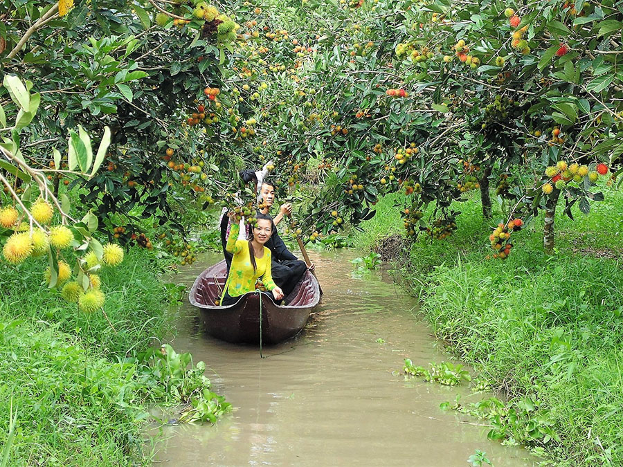 Có nên đi tour Bến Tre 1 ngày và những kinh nghiệm bạn cần biết 4