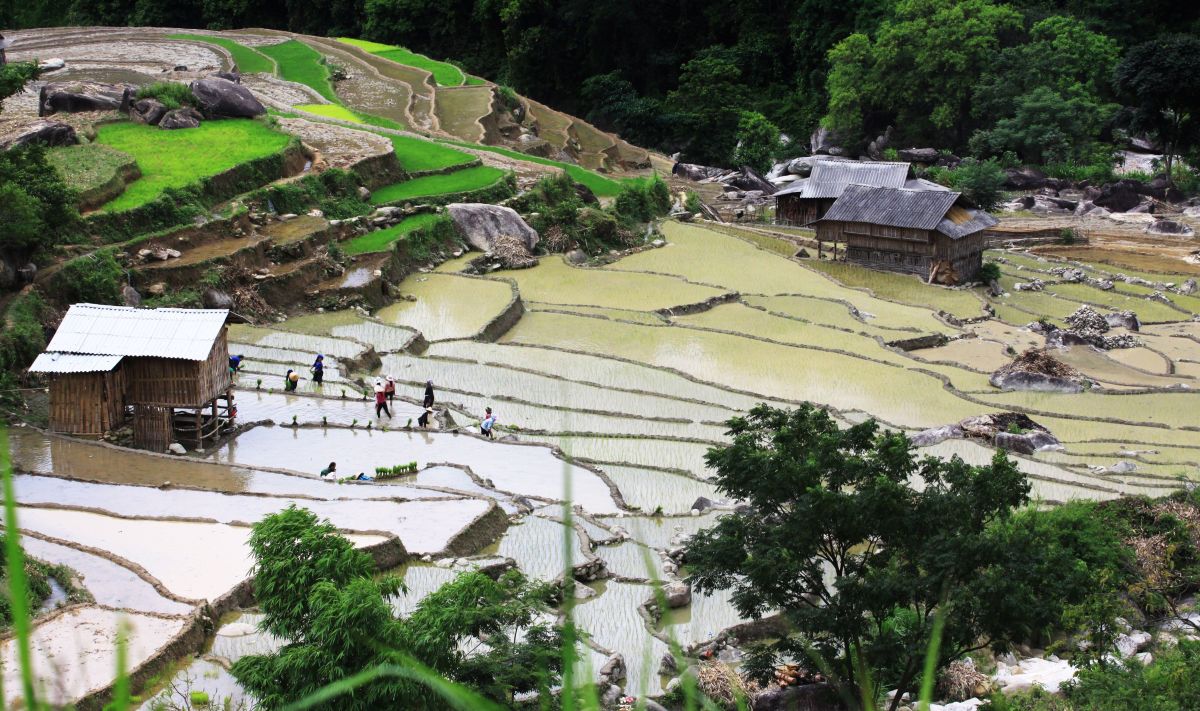 Kinh nghiệm đi Hà Giang mùa nước đổ - Khám phá vẻ đẹp khác của Hà Giang 7